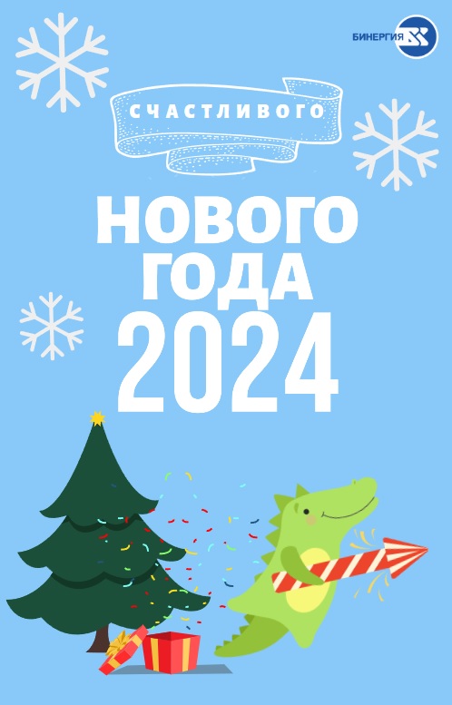 Счастливого Нового Года 2024 Бинергия.jpg